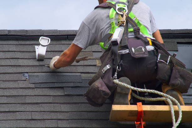 Best Roof Insulation Installation  in Louisa, VA