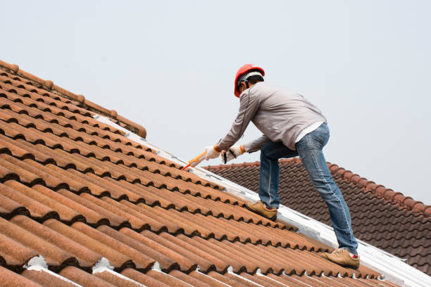 Best Chimney Flashing Repair  in Louisa, VA
