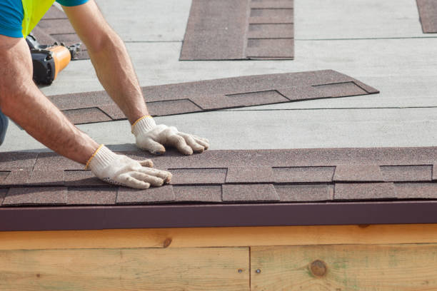 Best Gutter Installation and Repair  in Louisa, VA