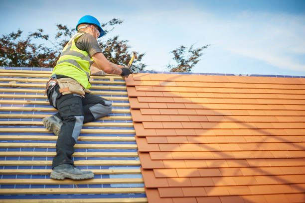 Best Roof Maintenance and Cleaning  in Louisa, VA